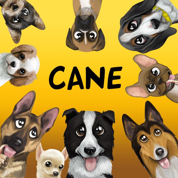 Cane