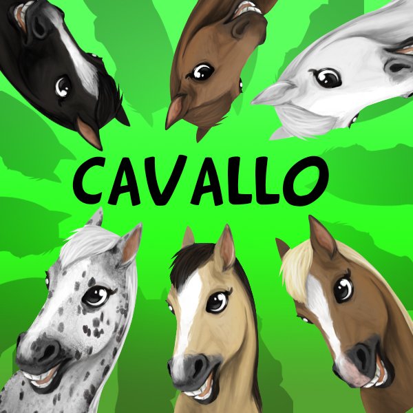 Cavallo