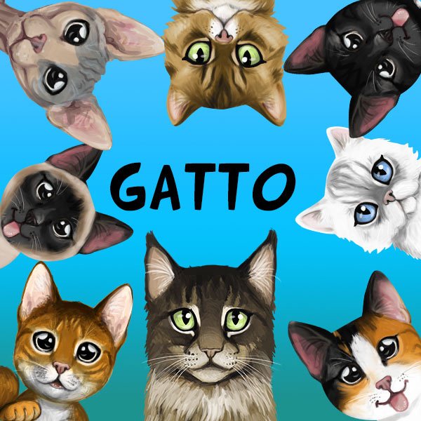 Gatto